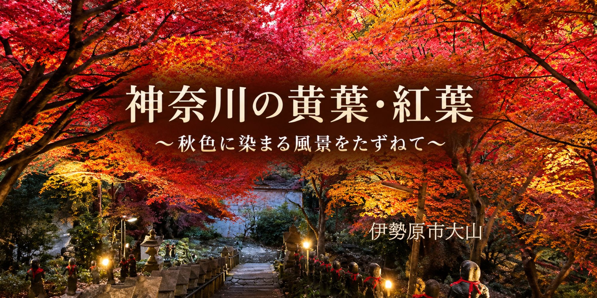 神奈川の紅葉・黄葉の名所 2026
